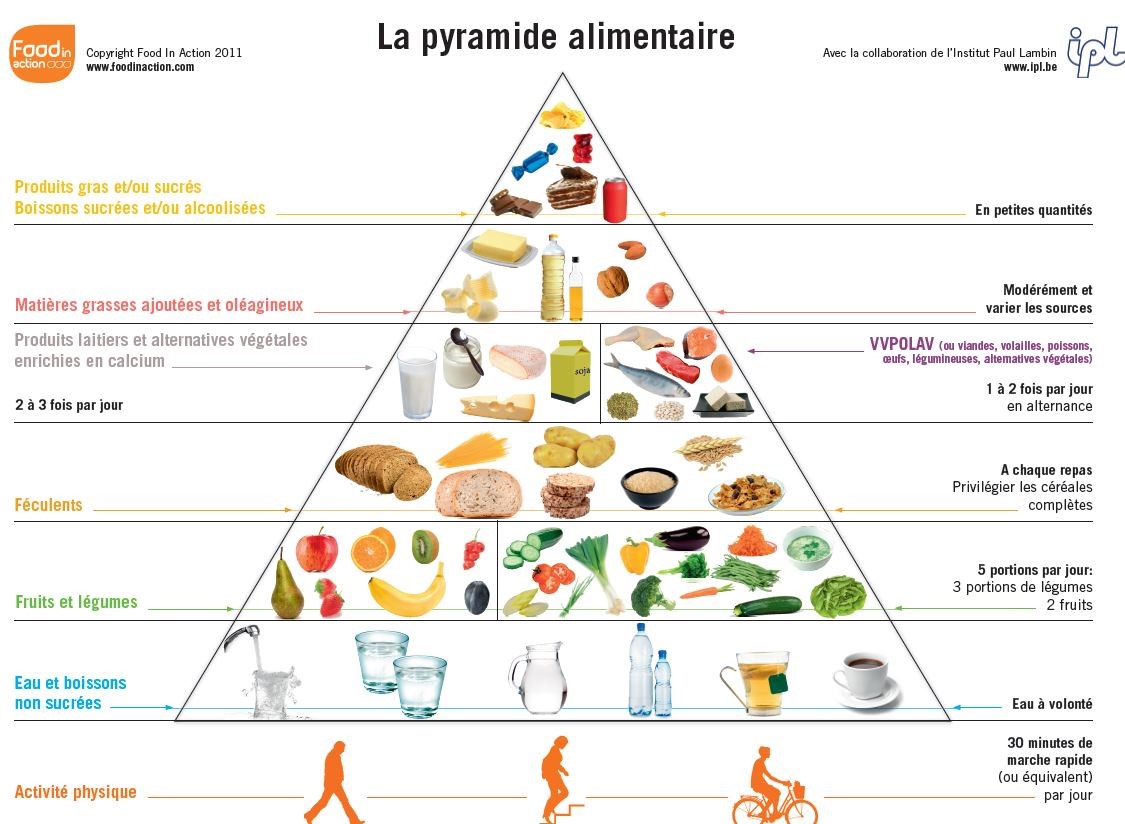 pyramide alimentaire